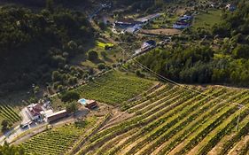 Quinta Da Aldeia Nova